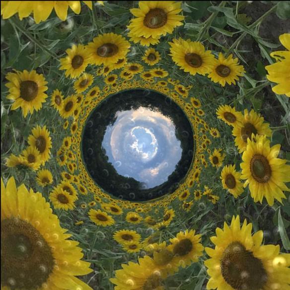 12002617_10153294262383124_8203852632571668567_o