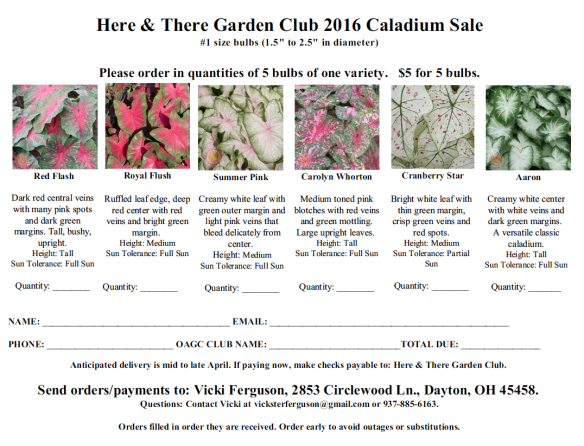 Screen Shot 2016-02-11 at 4.39.22 PM