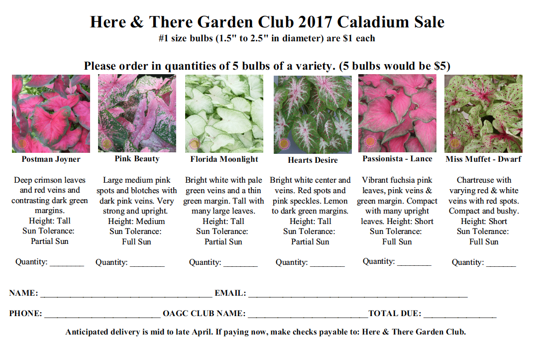 screen-shot-2017-01-25-at-6-53-53-pm