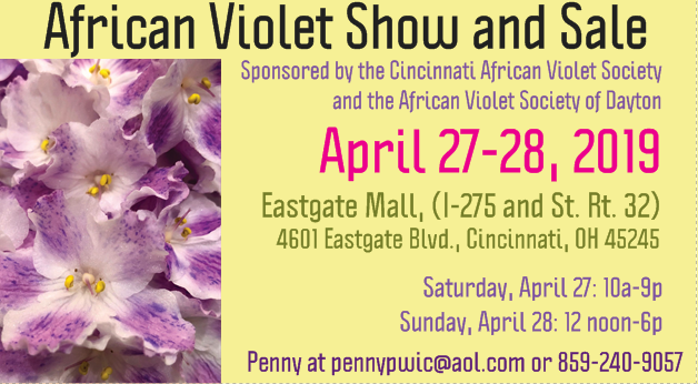 2019 CAVS:DAVS front