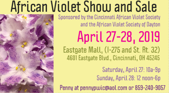 2019 CAVS:DAVS front